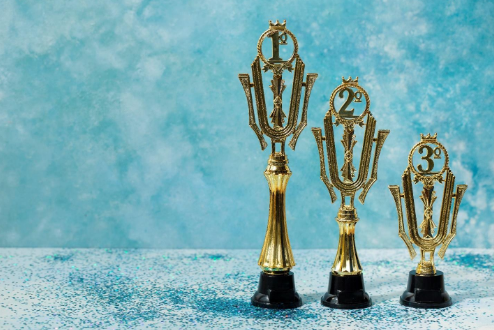 Understanding Bulk Sports Awards: Choosing the Right One