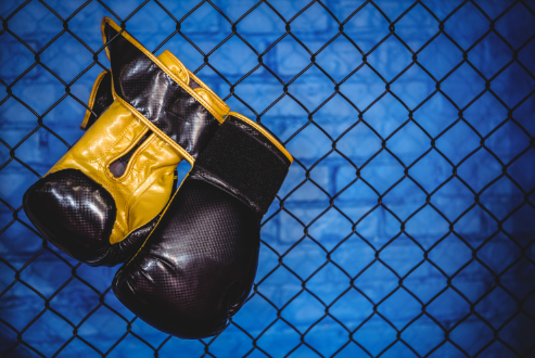 Finding the Perfect Fit: A Guide to Choosing Custom Boxing Gloves